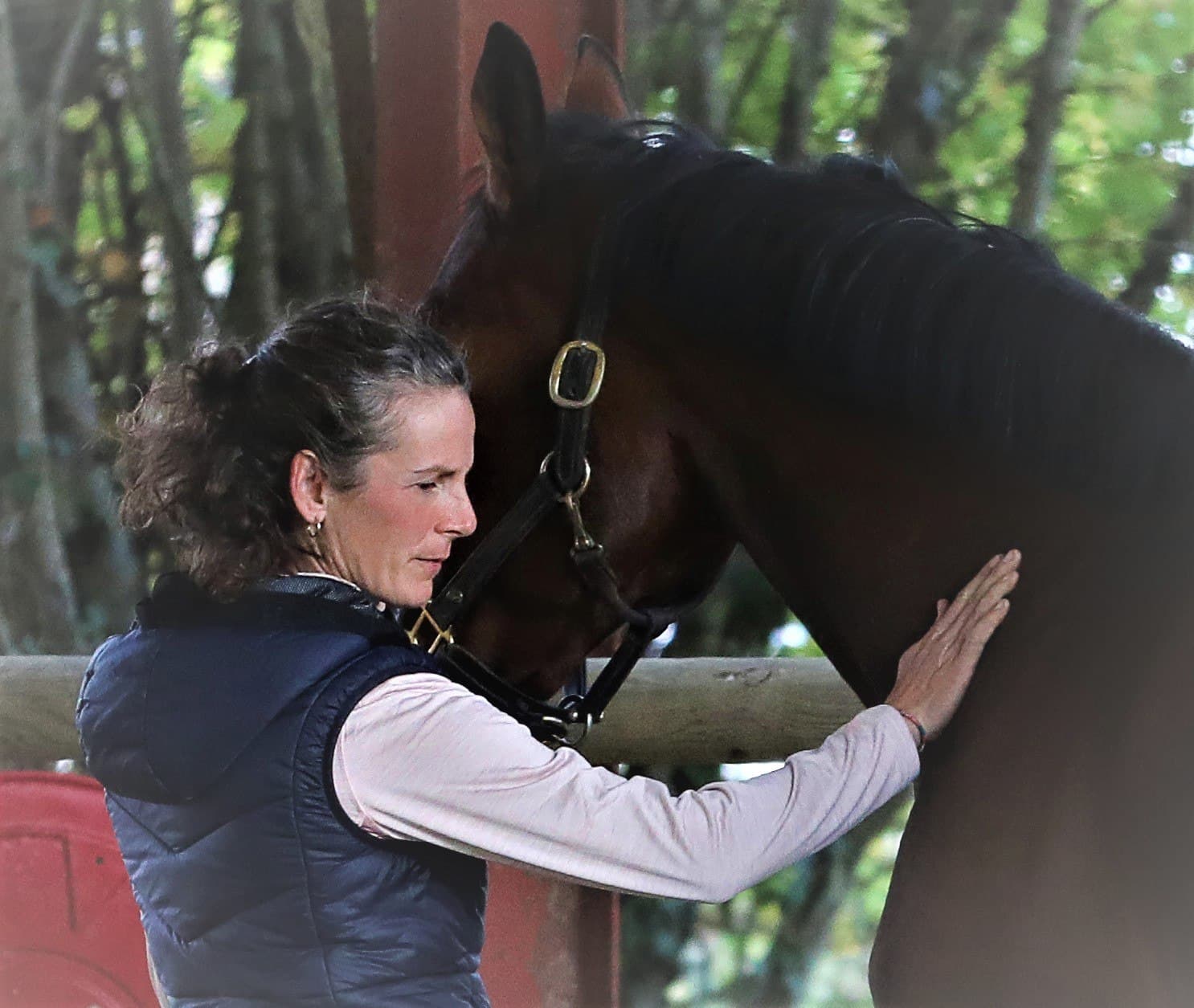 Cavalière en dressage, symbole de concentration et de précision